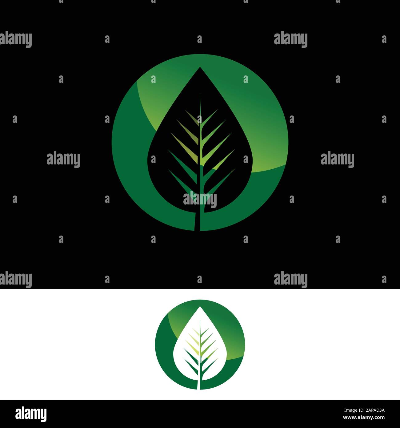 Abstraktes grünes Lamellenlogo Symbol Vektordesign, Blatt im Kreis Stock Vektor