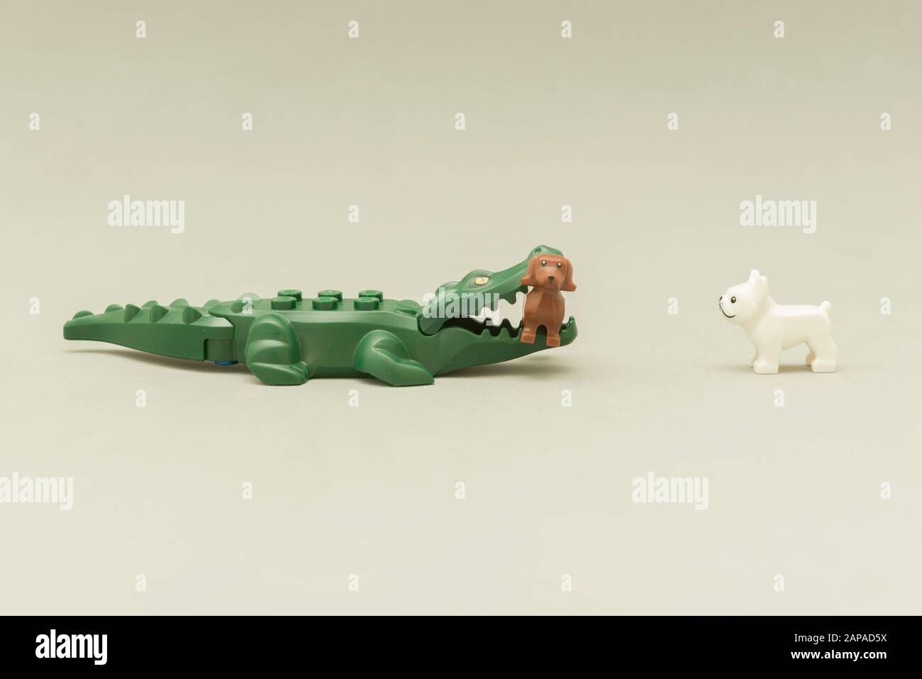 Florianopolis - Brasilien, 5. Mai 2019: LEGO Minifiguren - Alligator beißt  einen Hund mit seinem Mund voller Zähne. Wilde Tiere im Vergleich zu  Haustieren. Bein Stockfotografie - Alamy