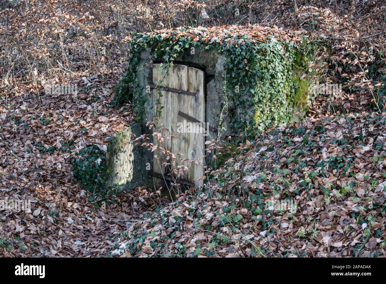 Alte Tür im Boden im Wald Stockfoto