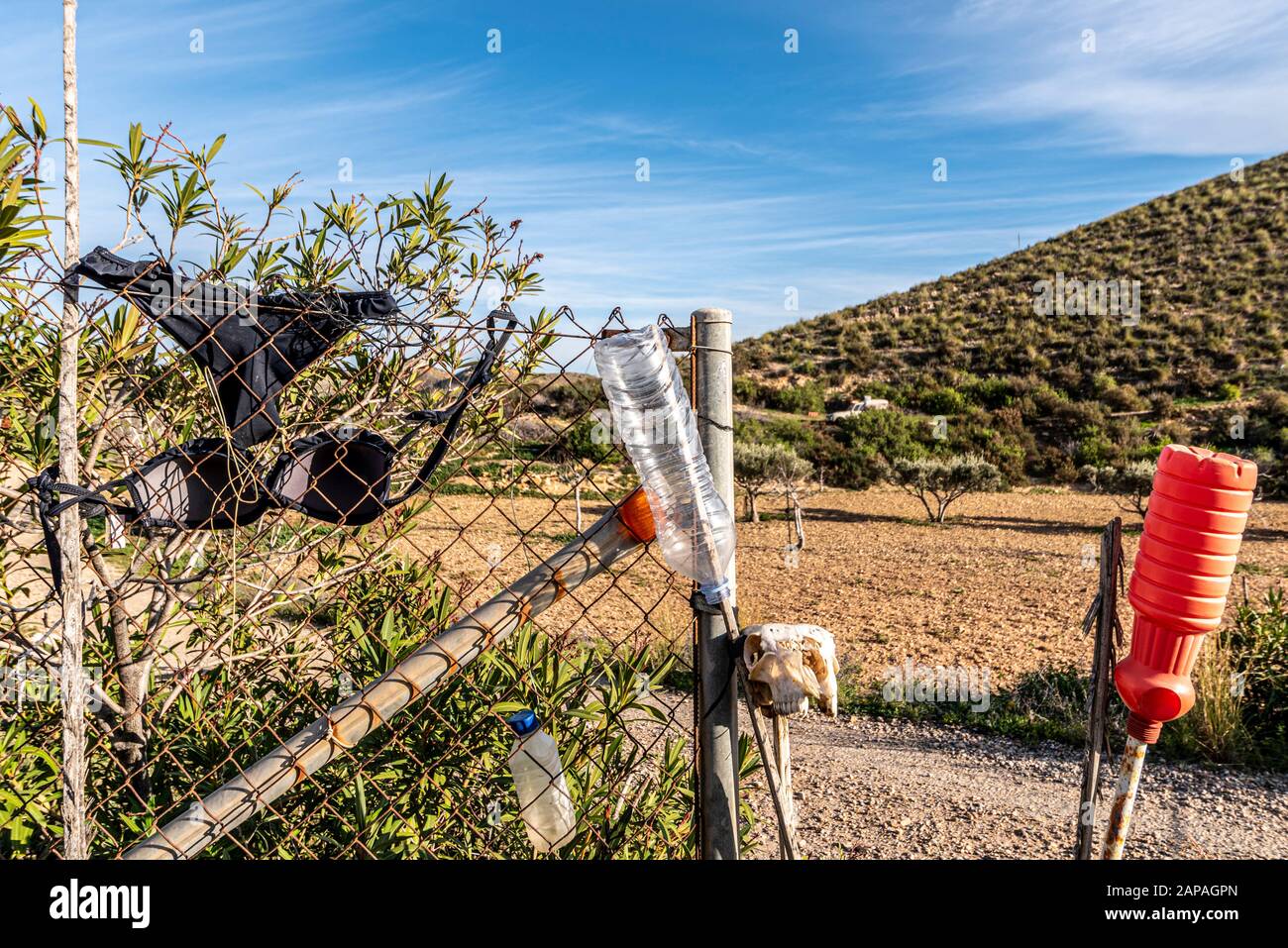 Besondere Darstellung eines Bauerneingangs über Puerto de Mazarron in der  Region Murcia, Costa Calida, Spanien. BH, Unterhosen, Ziegenschädel.  Bizarres, seltsames Set Stockfotografie - Alamy