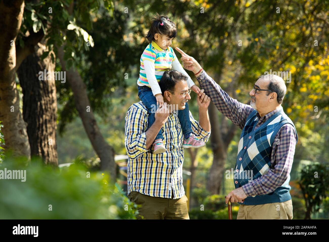 Glückliche, mehrköpfige indische Familie im Park im Freien Stockfoto