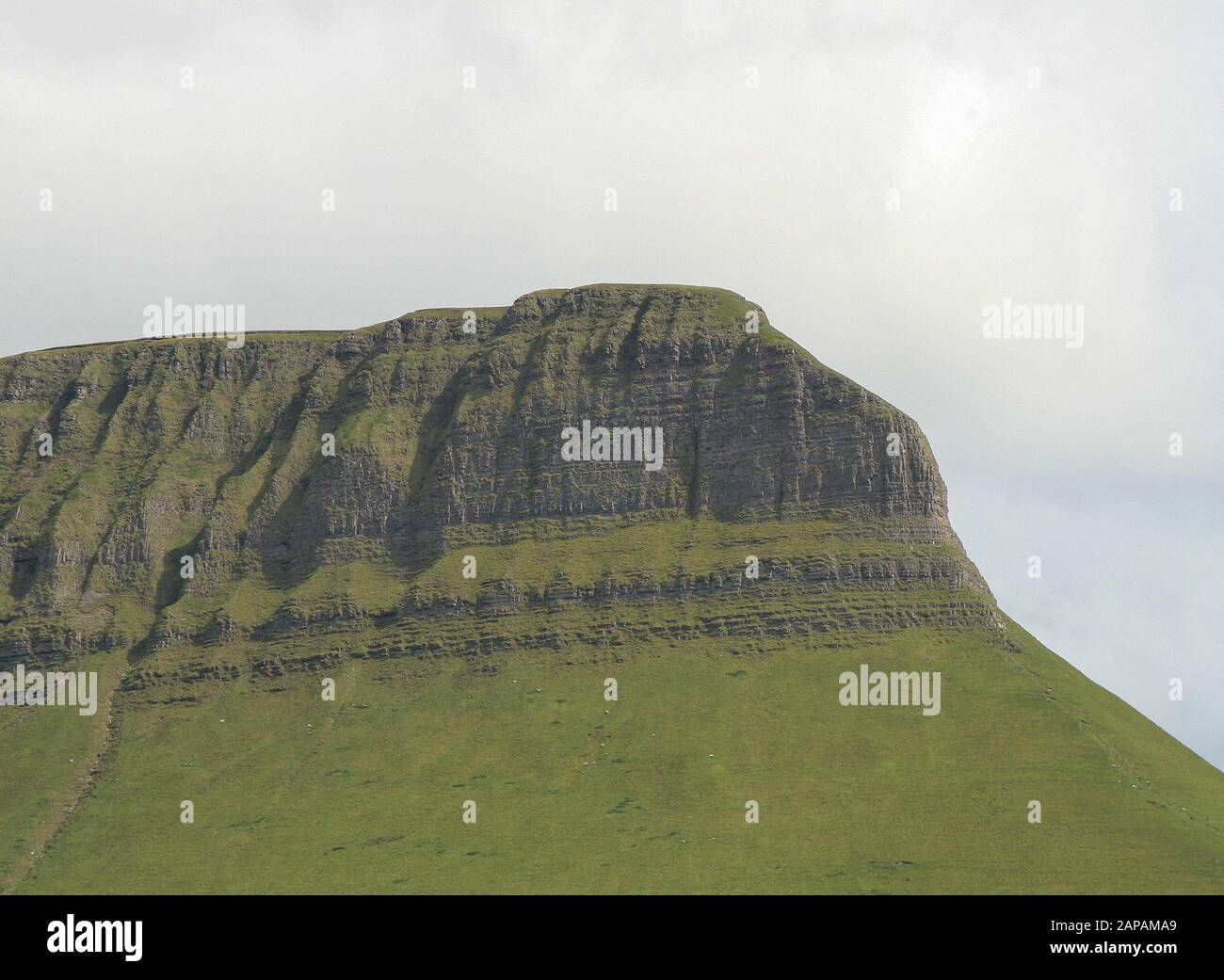 Kalkfelsen auf einem von Gletschern behauenen Berg in Irland - die Dartry Kalksteinformation auf der Nordseite von Ben Bulben oder Benbulbin in Co Sligo. Stockfoto