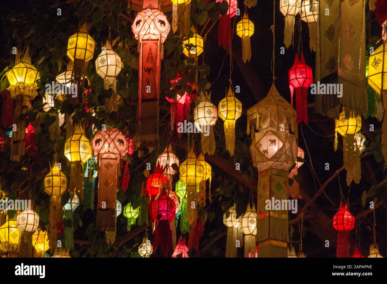 Thailand Papierlaternen, brillante Lichter Nacht bunt, Stockfoto