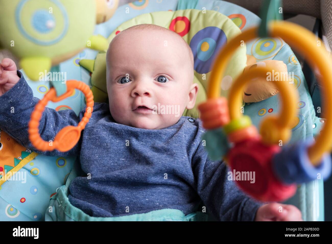 Authentisches Bild eines süßen Jungen im Alter von fünf Monaten in einem Aktivitätsstuhl, der Interesse an interessanten hängenden Spielzeugen hat. England, Großbritannien, Großbritannien Stockfoto