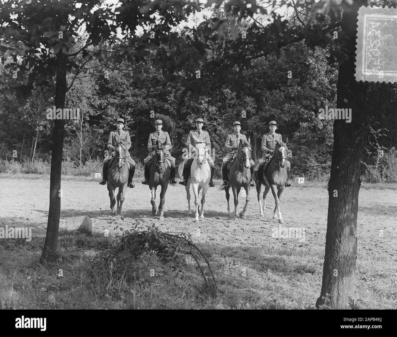 Concours Hippique Rotterdam, Quadrille Drive-Datum: 2. September 1953 Standort: Rotterdam, Zuid-Holland Schlüsselwörter: Concours Hippique, Fahren Stockfoto