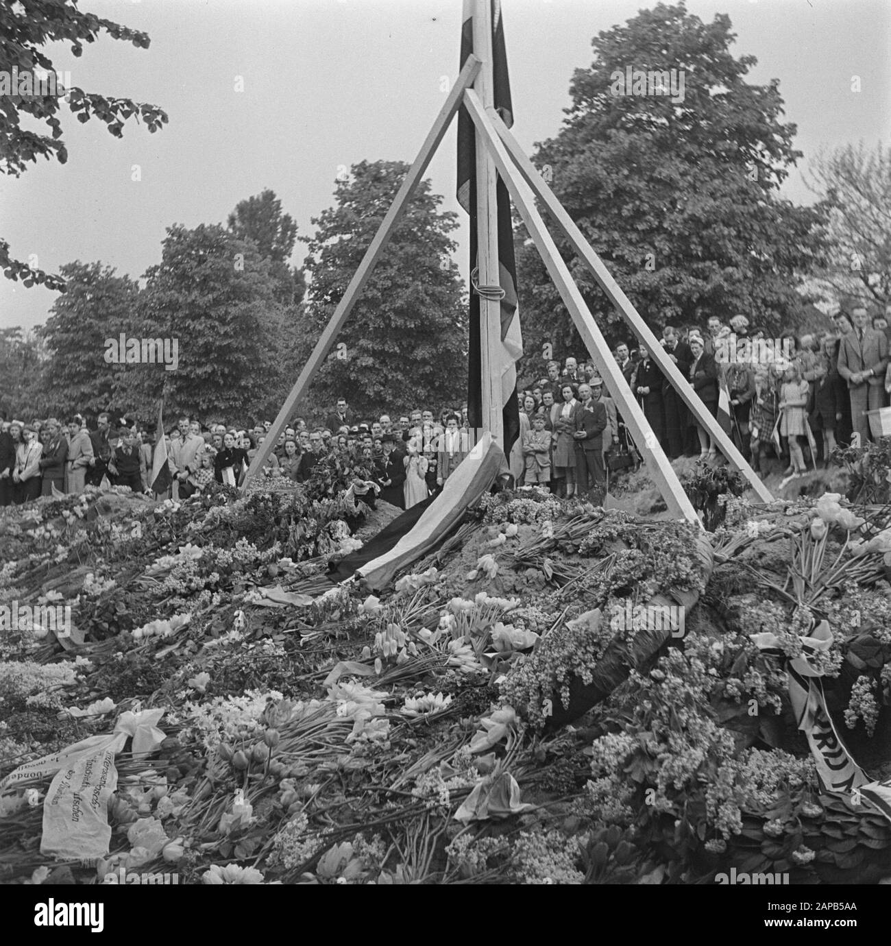 Befreiungsfreude: Amsterdam Beschreibung: Blumenmeer an den Füsillaplaaten am Apollolaan in Amsterdam Datum: 8. Mai 1945 Ort: Amsterdam, Noord-Holland Schlüsselwörter: Gedenkfeiern, Zweiter Weltkrieg Stockfoto