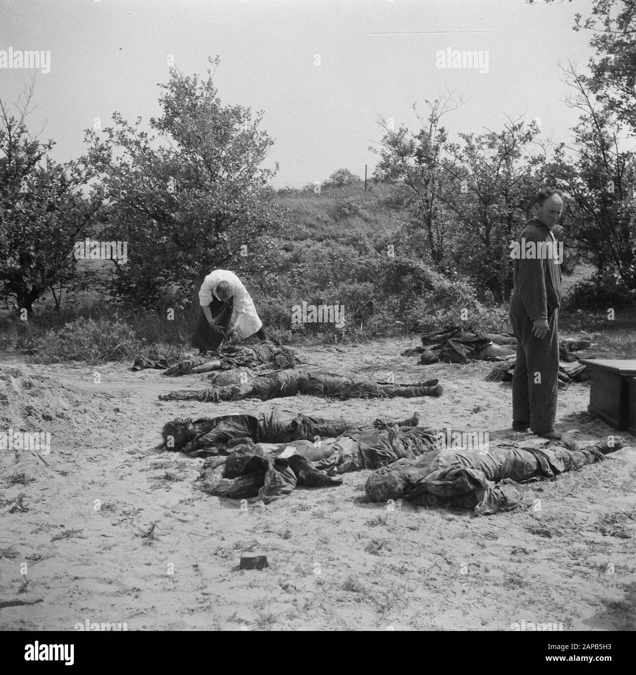 Terror: Massagraf Overveen Beschreibung: De Underground fand in Dünen in der Nähe von Overveen ein Massengrabmal von 104 beschossen Widerstandsmännern. Die Regierung hat eine Untersuchung eingeleitet. Die Ausgrabungen werden in Anwesenheit von Herrn H.A. Wassenbergh und Frau J. M.B. E. stattfinden Nilant (Pathologen-Anatom am Binnengasthuis in Amsterdam) identifiziert einen Körperüberschuss. Datum: 5. Juni 1945 Ort: Overveen Schlüsselwörter: Särge, Leichen, Ausgrabungen, Zweiter Weltkrieg persönlicher Name: Nilant, M.B. E. Stockfoto
