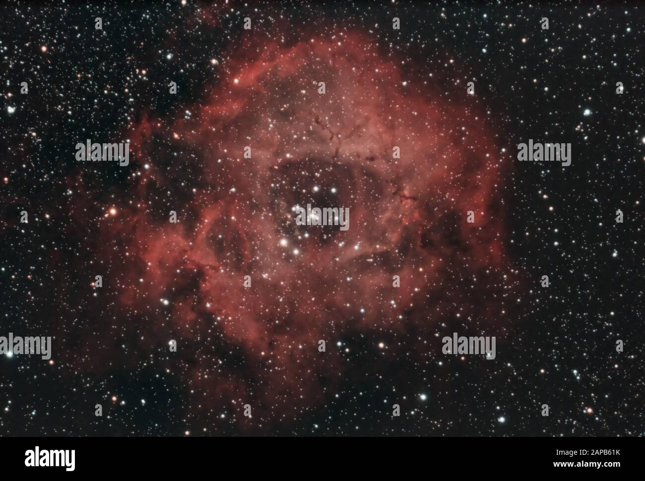 Dieses Bild von "Galaxy", dem Rosettennebel, wurde mit einem astrumodifizierten Kanon 700D über das Orion ED80T CF-Teleskop aufgenommen Stockfoto