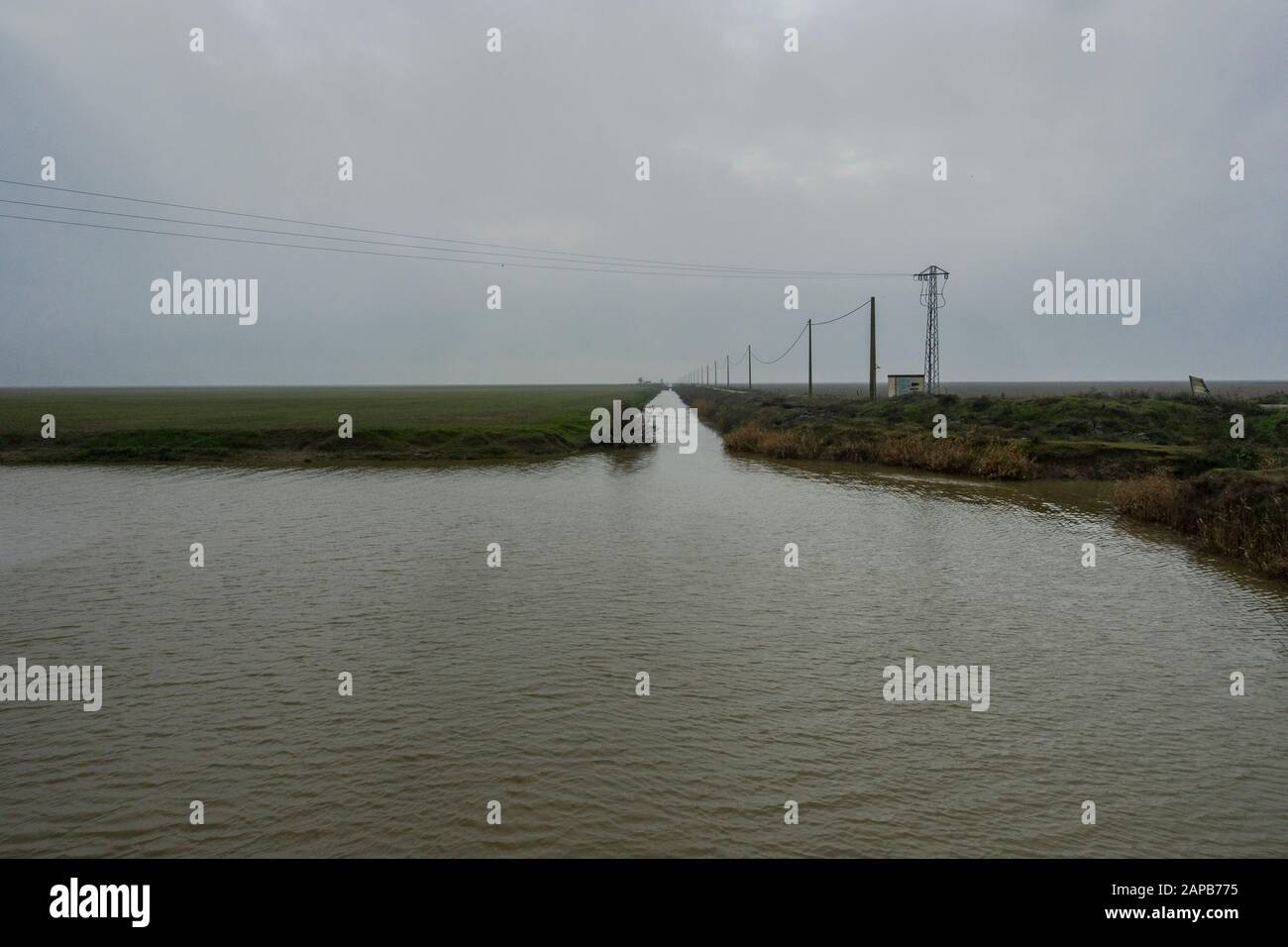 Bewässerungskanal im Donana-Nationalpark, Huelva, Andalusien, Spanien. Stockfoto