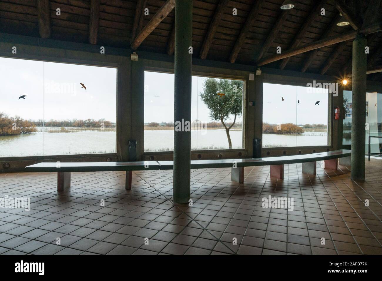 José Antonio Valverde, Innensteigerzentrum im Nationalpark Doñana, Andalusien, Huelva, Spanien. Stockfoto