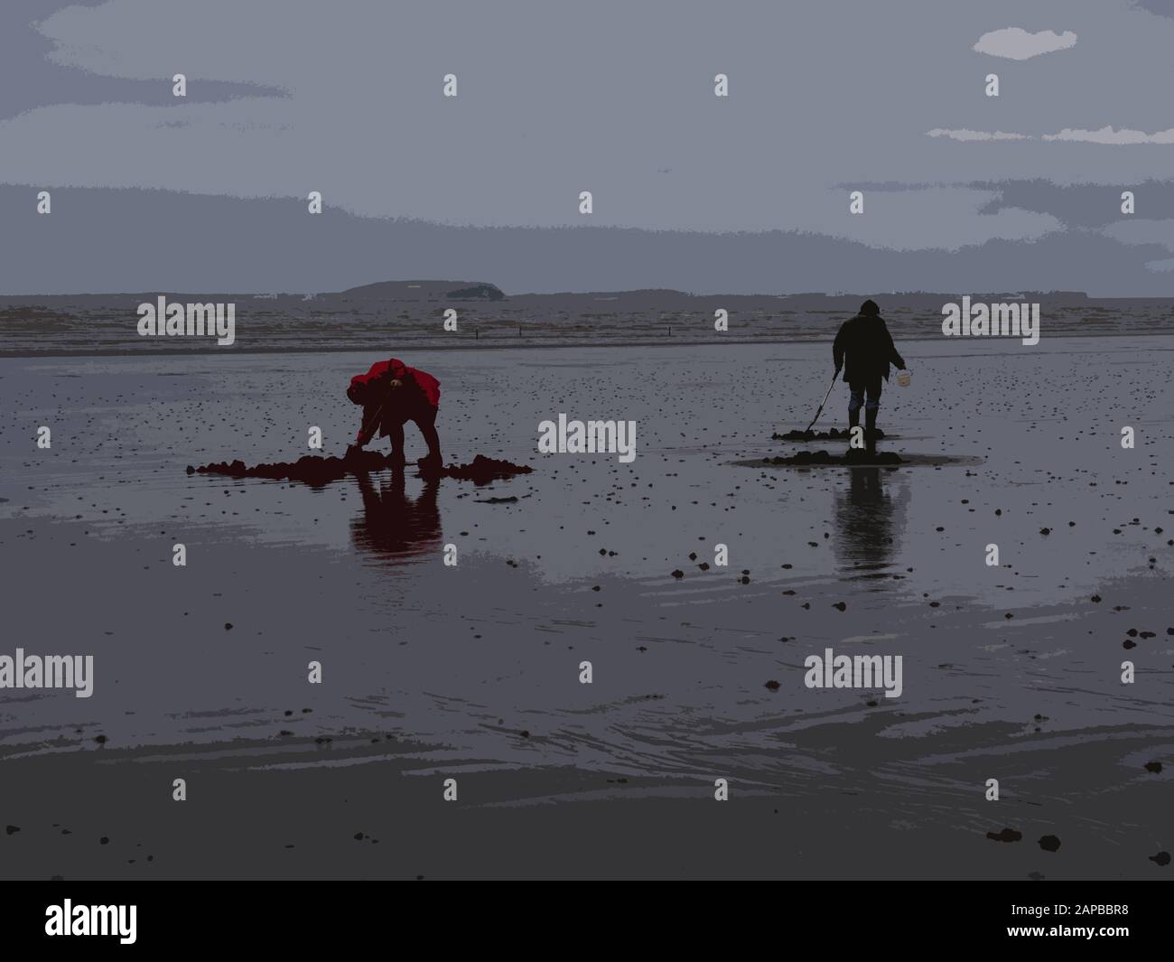 Zwei Männer Köder graben, Lugworm, am Brean Beach Somerset UK Stockfoto