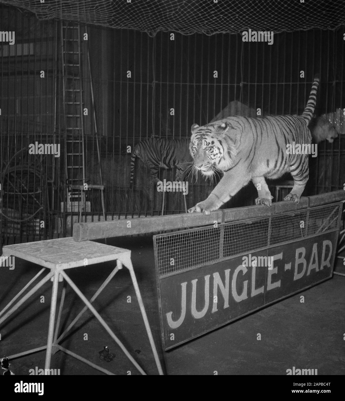 Circus Strassburger diverse Aufnahmen Datum: 22. Januar 1952 Schlagwörter: RECORDINGENTS-Institutionenname: Strassburger Circus Stockfoto