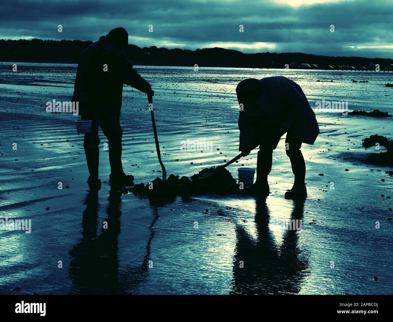 Zwei Männer, die am Somerset Beach UK graben Stockfoto
