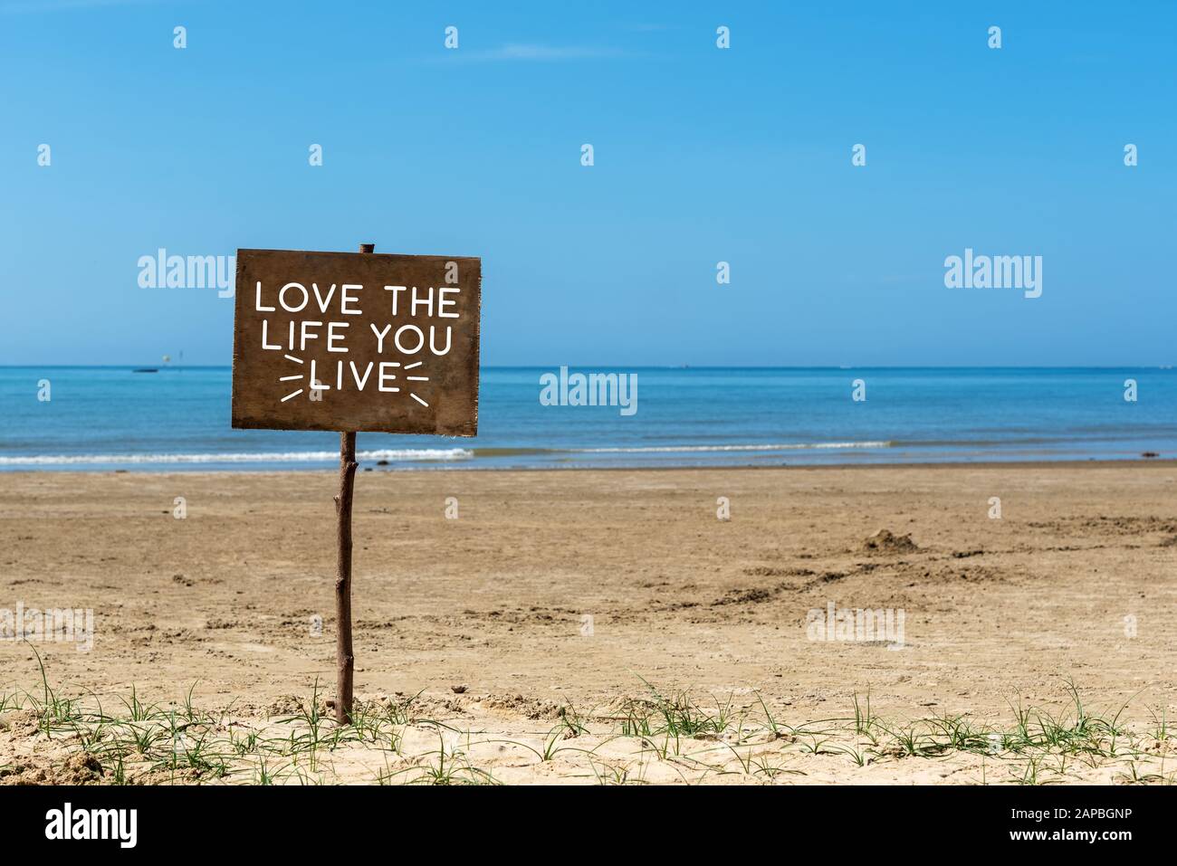 Motivierende und Lebensinspirierende Zitate - Liebe das Leben, das du lebst. Stockfoto