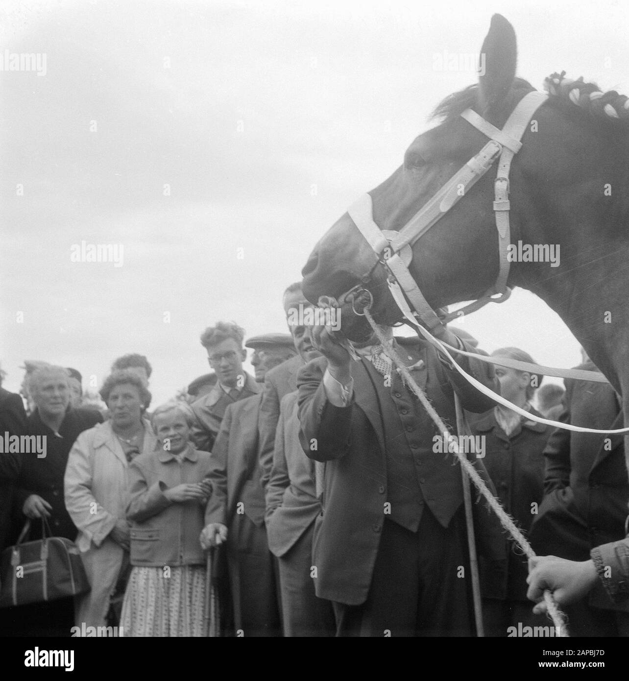 Besuch Ihrer Majestät und Beatrix bei Markelo Beschreibung: Interesse am preisgekrönten Pferd Datum: 29. August 1957 Ort: Markelo Schlüsselwörter: Königliche Besuche Stockfoto