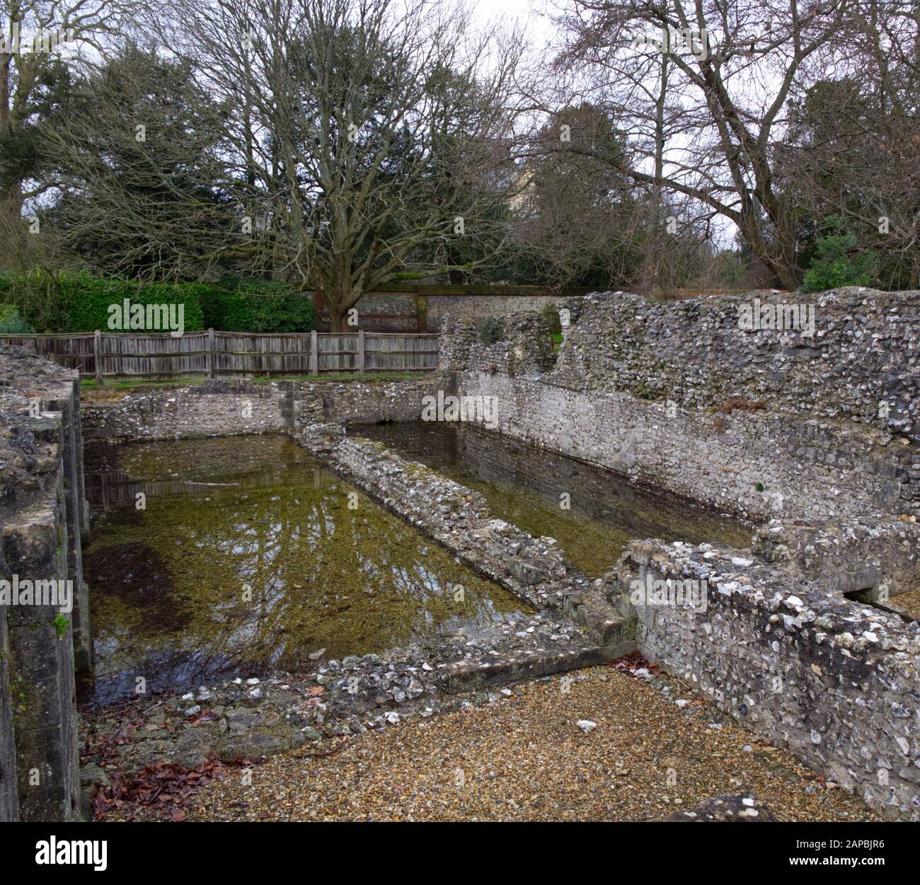 Wolvesley Castle, Winchester, Hampshire, England. Beeindruckende Ruinen Des Alten Bischofspalasts aus dem 12. Jahrhundert, einschließlich der ursprünglichen Ruinen der Pflaumanlage Stockfoto