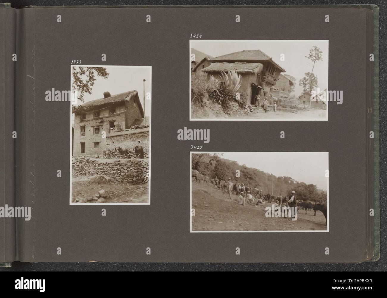 PhotoAlbum Fisherman: British Indies, Nepal, n.d. (1932) Beschreibung: Albumblad mit drei Fotos. Links: Ein Haus mit Kühen. Oben rechts: Ein Haus in einem Dorf. Unten rechts: Einige Männer passen auf die Kühe Datum: 1932/01/01 Ort: Indien Stichwörter: Kühe Stockfoto