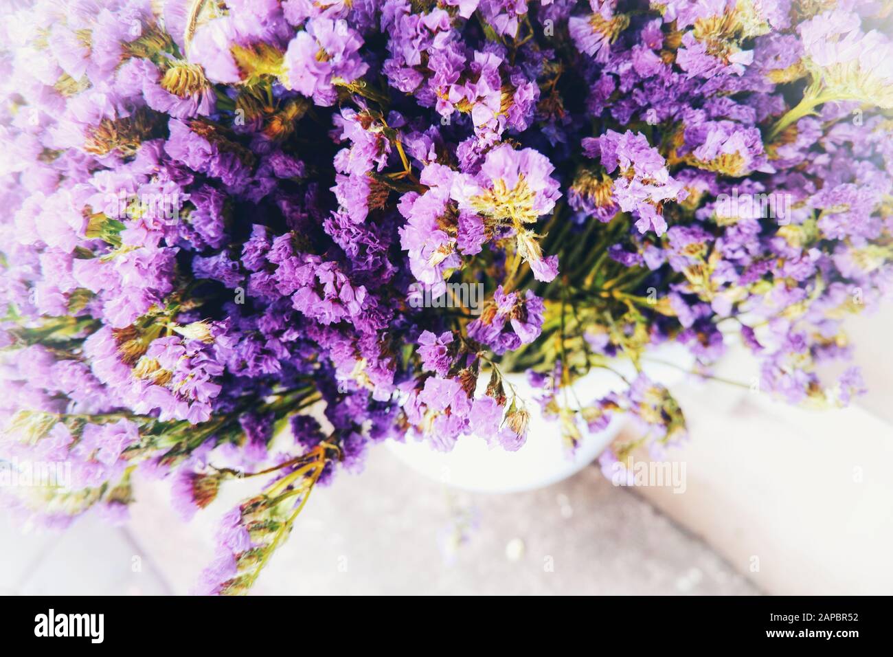 Violette Blumen in einer Kanne mit gesättigter Vollformatvibe. Jahreszeit von Frühling, Herbst oder Sommerzeit, Liebe, Valentinstag, Dating, Liebesbegehen. Stockfoto