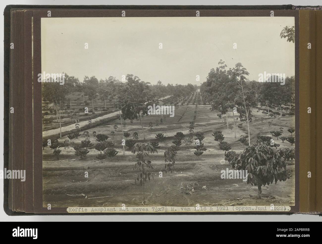 Fotoalbum Deli Maatschappij: Japan (19. Jahrhundert) Beschreibung: A2 Nikko Kaido Standort: Japan Stockfoto