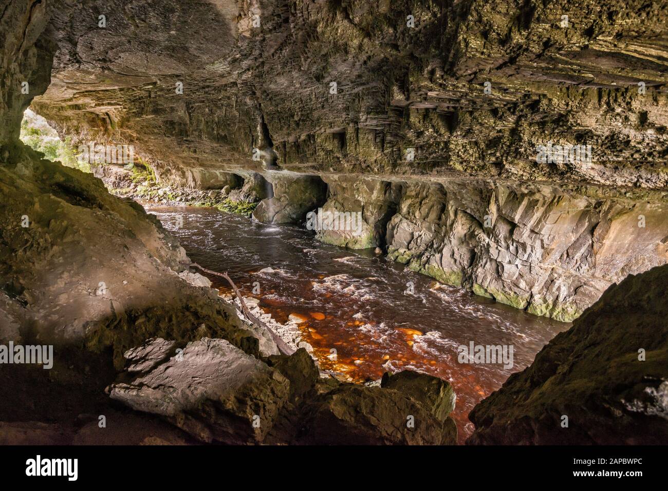 Oparara Arch, Oparara River Below färbte ein rötliches Braun von natürlichen Tanninen, Kahurangi National Park, West Coast Region, South Island, Neuseeland Stockfoto