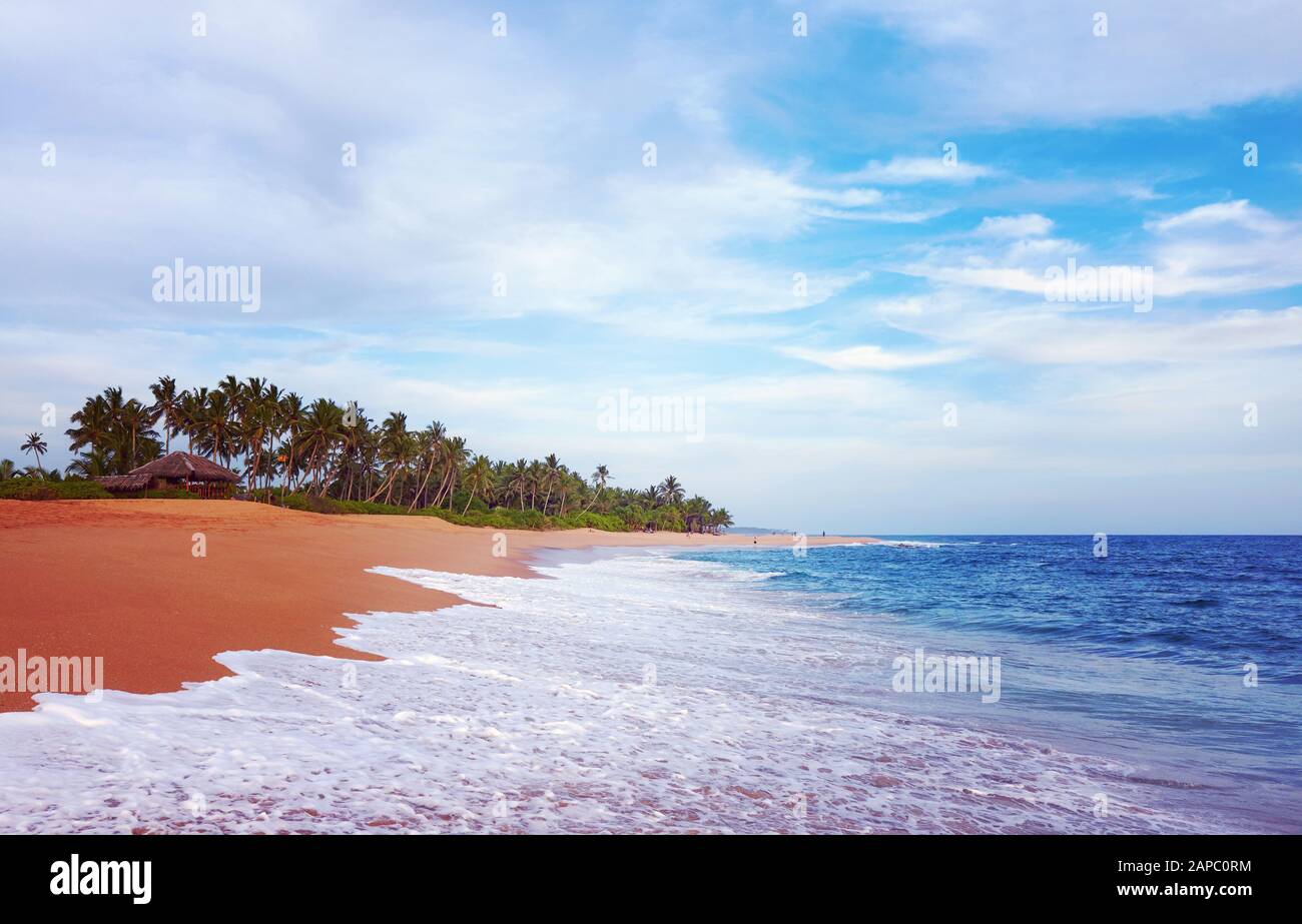 Schöner tropischer Strand kurz vor Sonnenuntergang, Farbtonierung angewendet, Sri Lanka. Stockfoto
