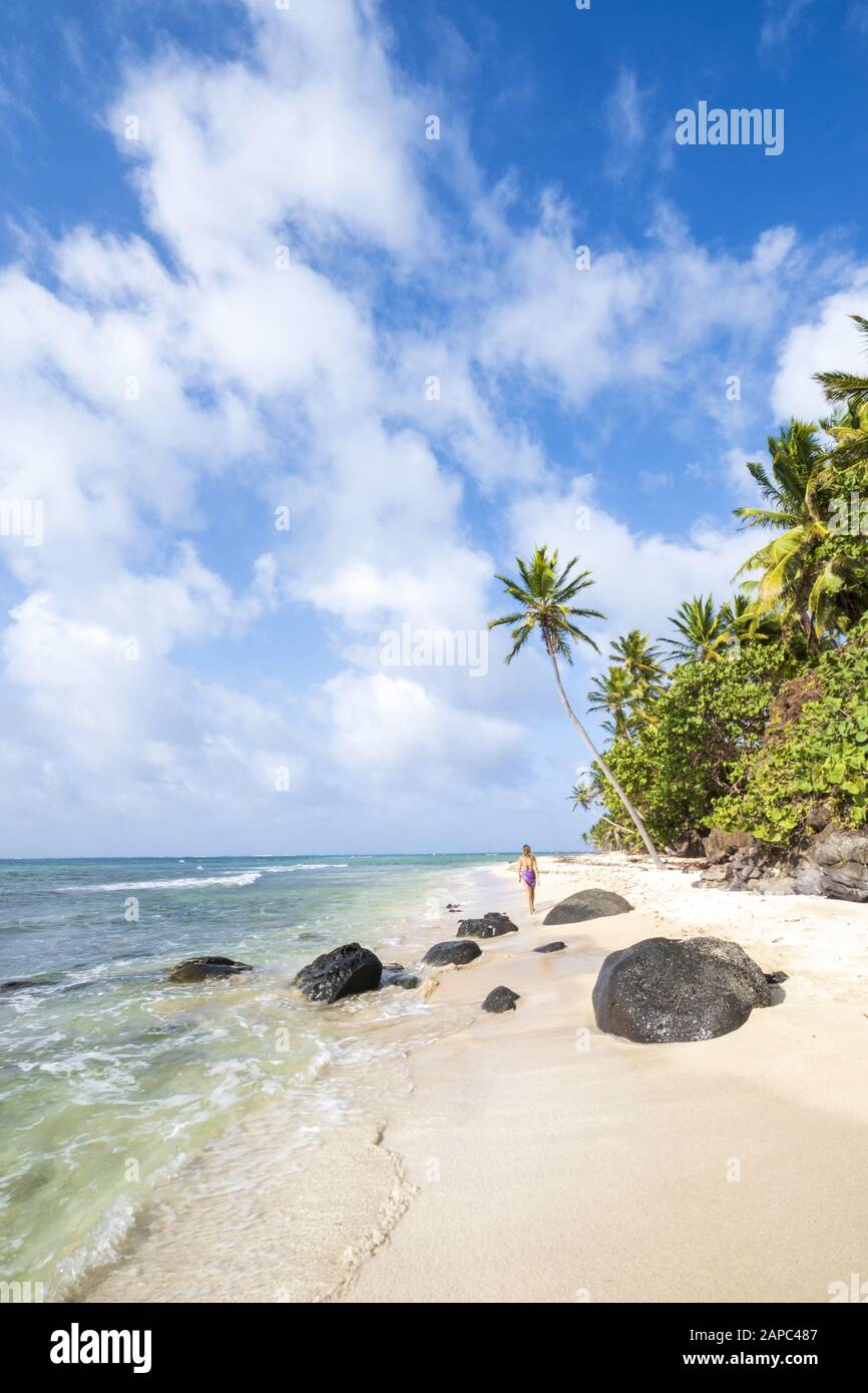 Eine junge Frau, die an einem unberührten tropischen Strand entlang spaziert, der mit Palmen auf den abgelegenen Korn-Inseln Nicaraguas beschattet ist Stockfoto