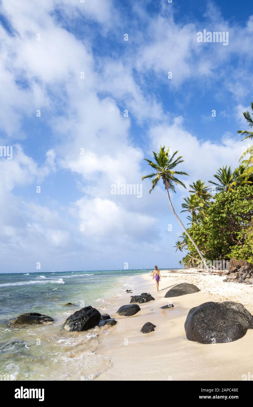 Eine junge Frau, die an einem unberührten tropischen Strand entlang spaziert, der mit Palmen auf den abgelegenen Korn-Inseln Nicaraguas beschattet ist Stockfoto