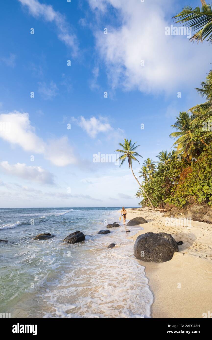 Eine junge Frau, die an einem unberührten tropischen Strand entlang spaziert, der mit Palmen auf den abgelegenen Korn-Inseln Nicaraguas beschattet ist Stockfoto