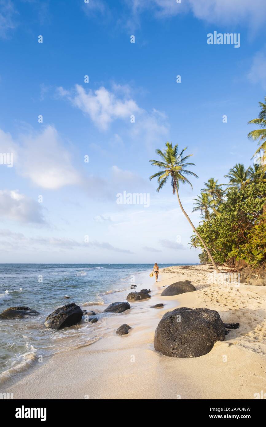 Eine junge Frau, die an einem unberührten tropischen Strand entlang spaziert, der mit Palmen auf den abgelegenen Korn-Inseln Nicaraguas beschattet ist Stockfoto