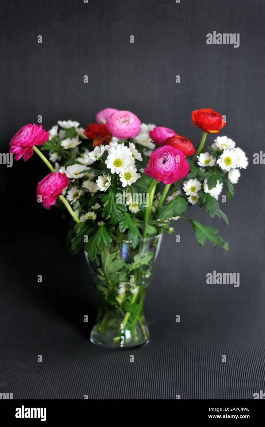 Blumenstrauß über schwarzem Hintergrund. Stockfoto