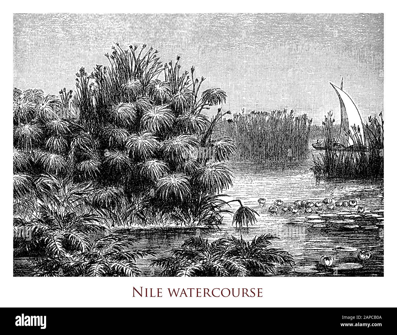 Die idyllische Landschaft des Flusslaufs des Nils, des längsten Flusses der Welt im ostzentralen Afrika, natürlicher Navigationskanal mit weiten Ausweifungen Stockfoto