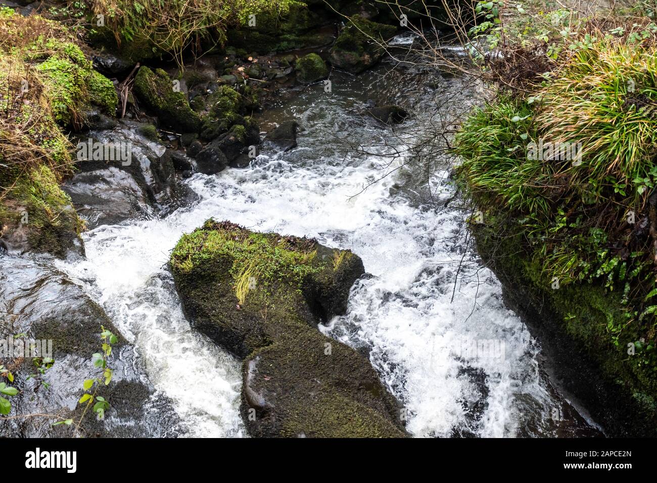 Wasserfall im Rouken Glen Park in Thornliebank, East Renfrewshire bei Glasgow Stockfoto