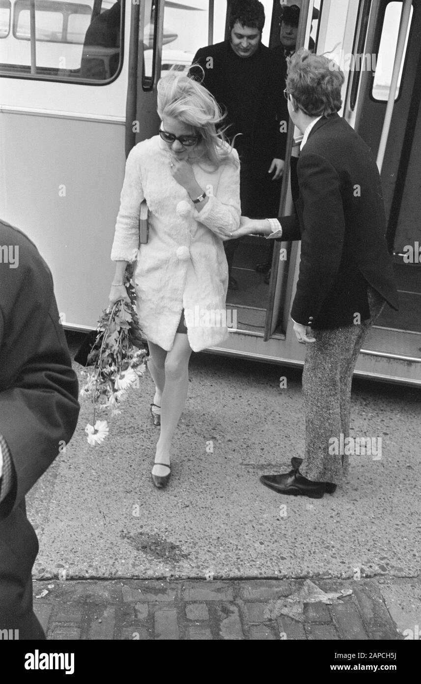 Ankunft Sylvie Vartan auf Schiphol Datum: 9. Dezember 1966 Ort: Noord-Holland, Schiphol Schlüsselwörter: Ankunft persönlicher Name: Vartan, Sylvie Stockfoto