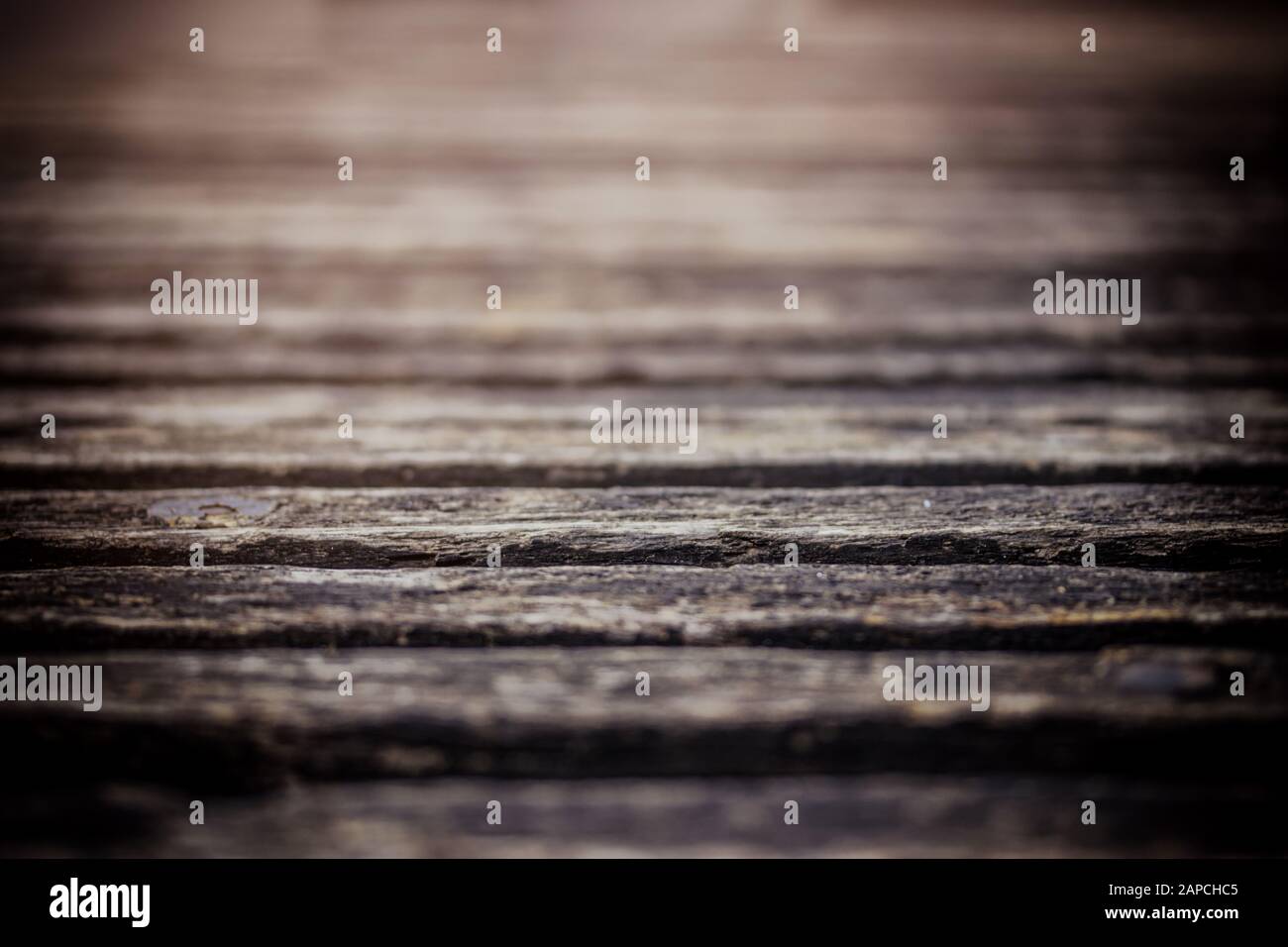 Parkbank, natürlicher Hintergrund Stockfoto