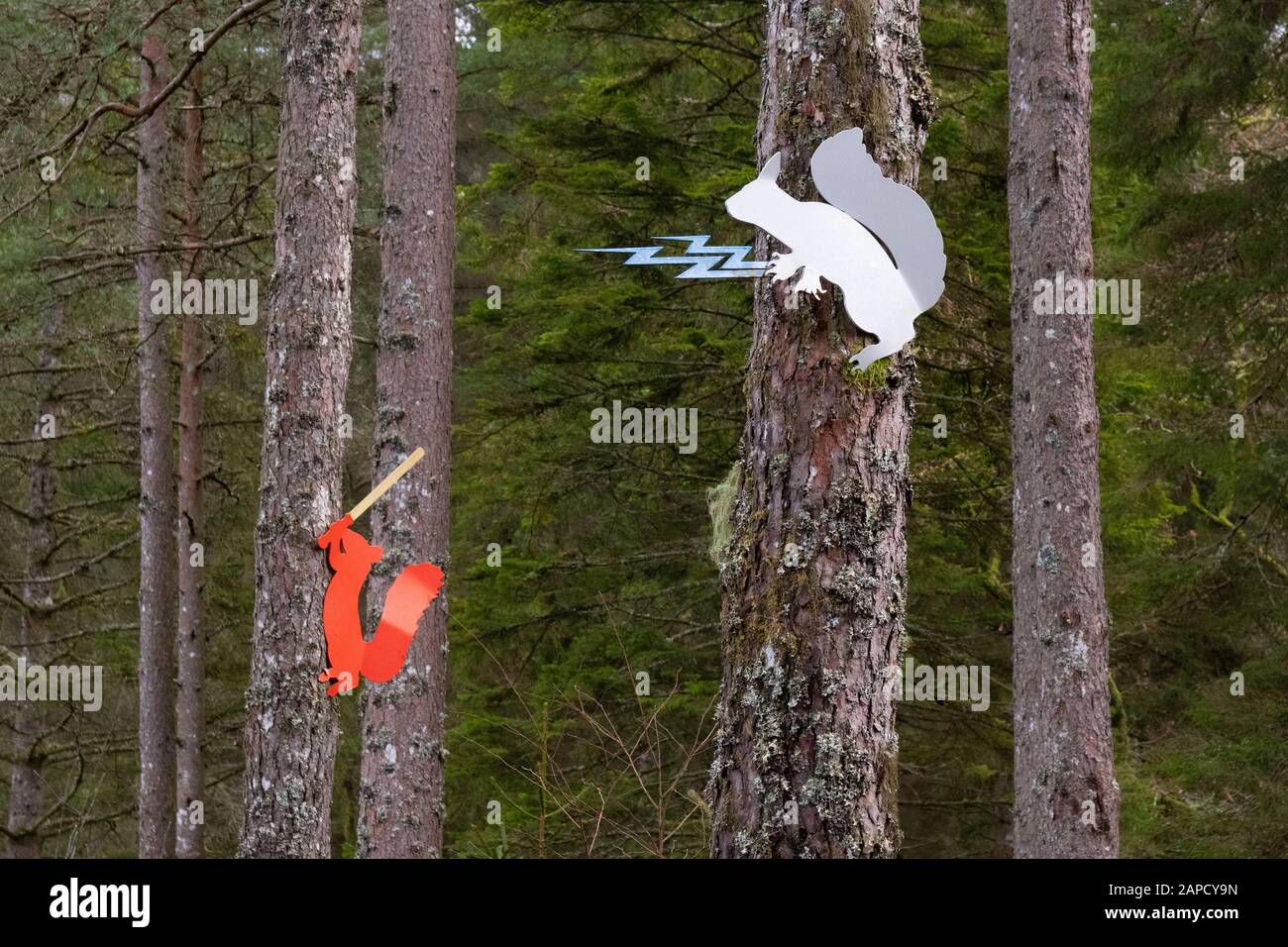 "Loch Ard Family Sculpture Walk Sculpture - Red Rebels" von Rob Mulholland, Near Aberfoyle, Loch Lomond und The Trossachs National Park, Schottland, Großbritannien Stockfoto