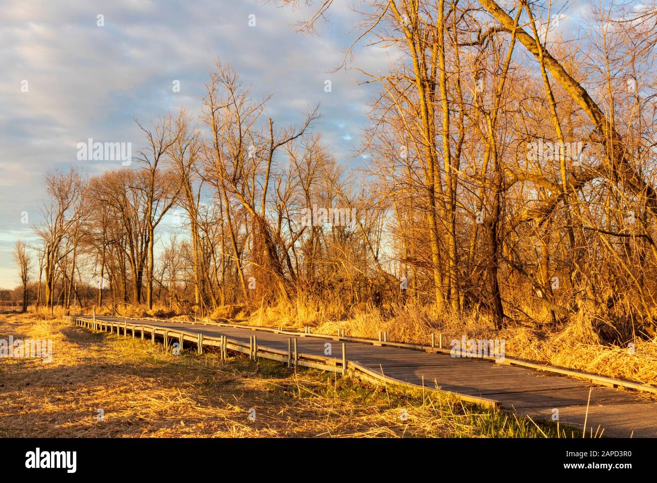 Der sonnende Boardwalk Path im Mitchell Park Stockfoto
