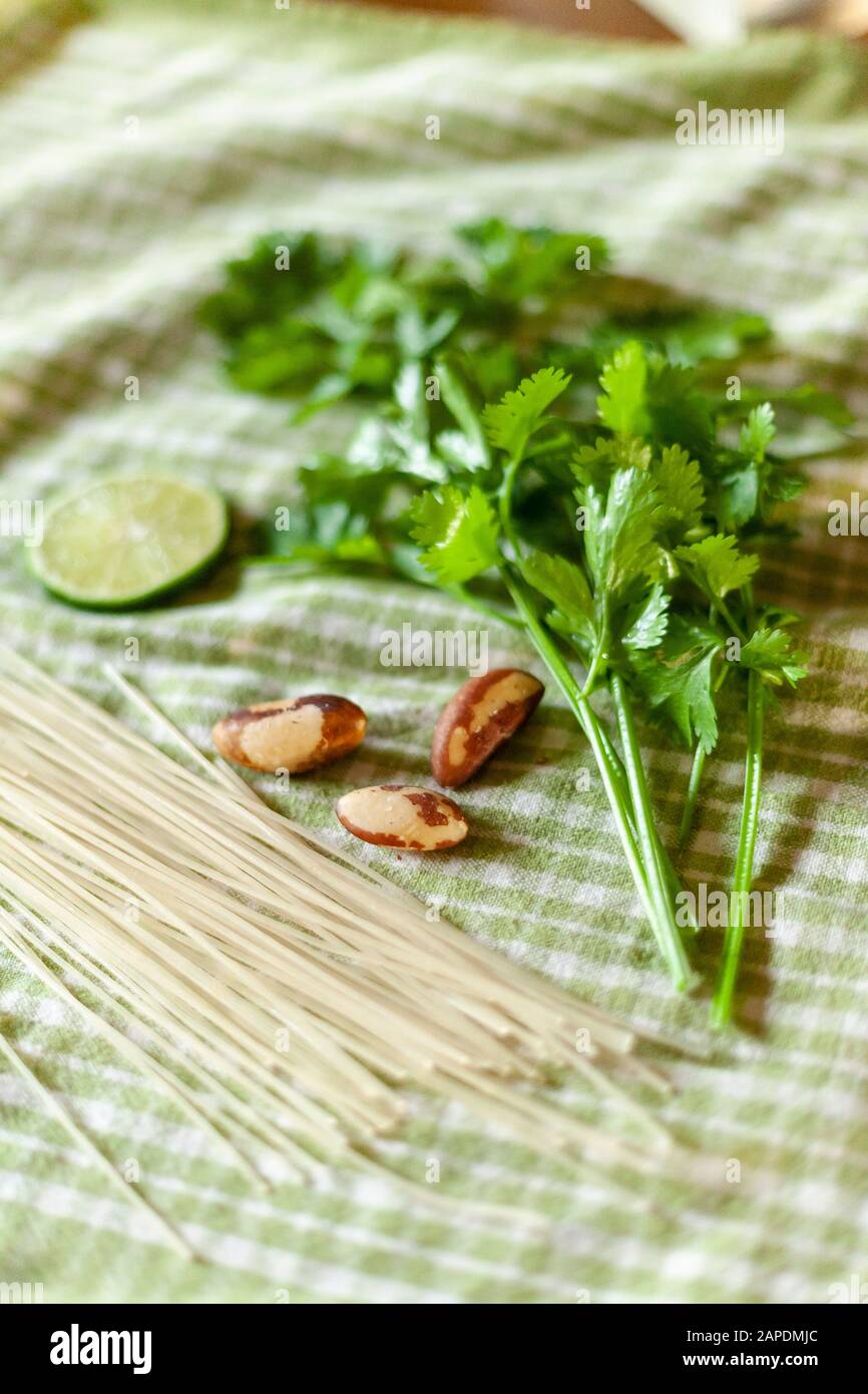 Die Zutaten für Cilantro Pesto sind auf einem grünen Gingham-Tuch angeordnet: Cilantro, brasilianische Nüsse und glutenfreie weiße Reisnudeln. Stockfoto