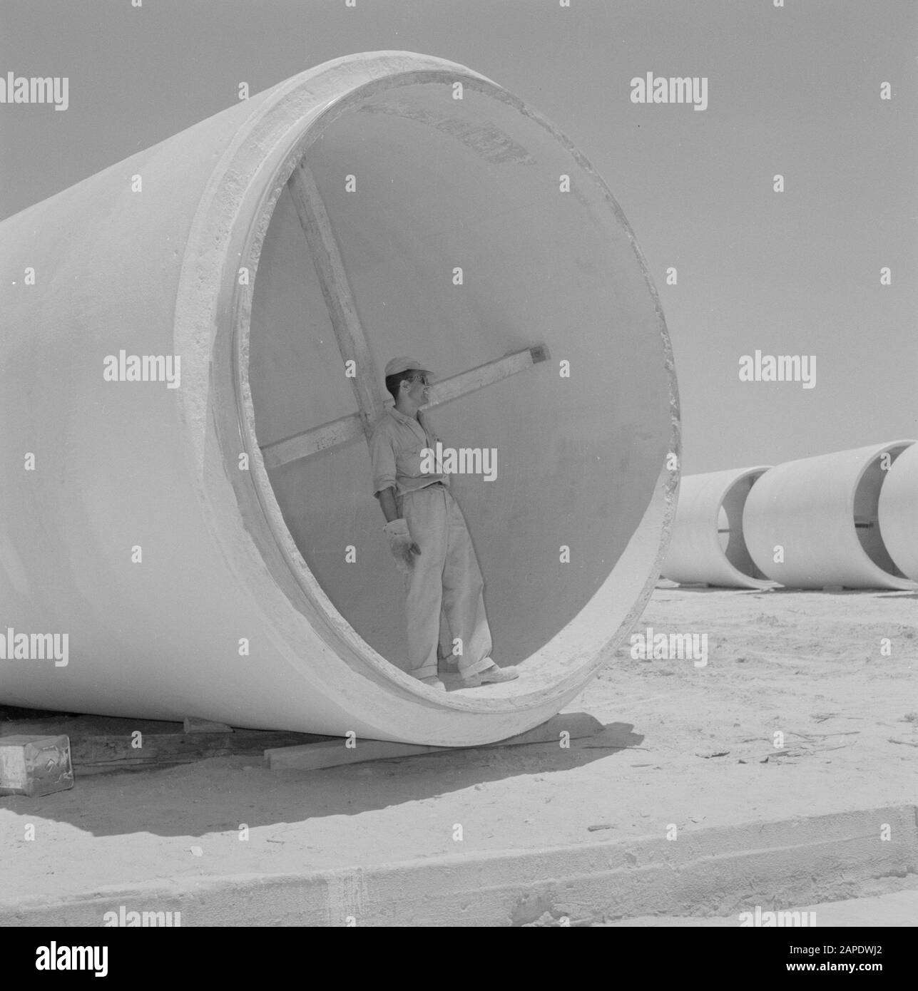Arbeiter in einer Betonröhre, die auf dem Gelände einer Röhrenfabrik in Ashkelon trocknet. Das Rohr wird intern aufgestützt, um ein Durchsacken während des Aushärtungsvorgangs zu verhindern Datum: 1. Januar 1960 Standort: Ashkelon, Israel Schlüsselwörter: Röhrchen, Trocknen, Streben Stockfoto