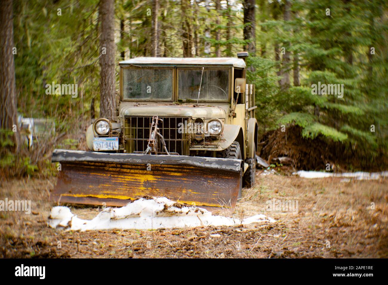 Ein 1953 ausfahrendes Fahrzeug M37 ​3/4-Tonnen 4x4 (G741) mit einem aufgesetzten Schneepflug, in einem Waldgebiet, in Noxon, Montana. Stockfoto