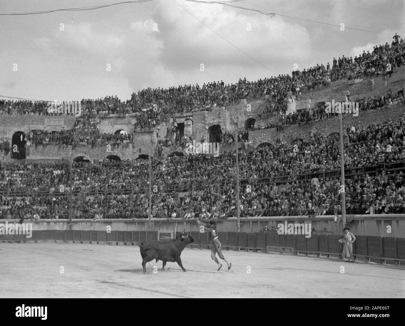 Stierkampf in der Arena von Nîmes Beschreibung: Banderillero springt für Stier auf, nachdem er Banderillas im Hals des Bullen Annotation ersticht hat: In einem Stierkampf ist es Aufgabe des Banderilleros, etwa eine Armlänge lange, mit Widerhaken am Ende (Banderillas) verzierte Stöcke im Hals des Stiers festzustecken. [Source Wikipedia April 2013] Datum: 1. September 1935 Ort: Frankreich, Nîmes Schlüsselwörter: Arenen, öffentlich, Bullen, Stierkämpfe, Stände Stockfoto