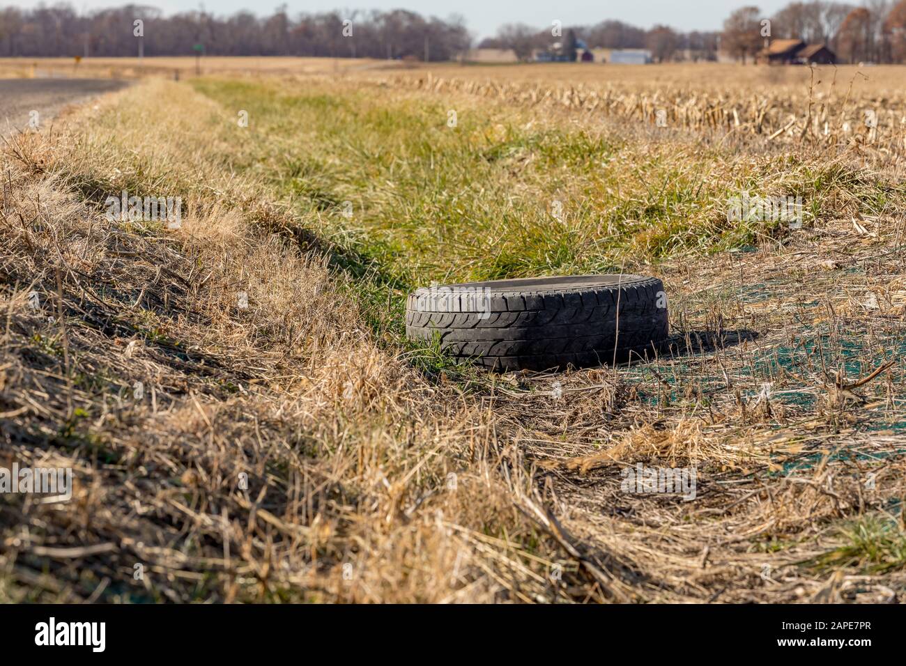 Alter schwarzer Gummireifen, der im Graben entlang der Landstraße abgeworfen wurde. Umweltverschmutzung, Umweltschäden und Recycling Stockfoto