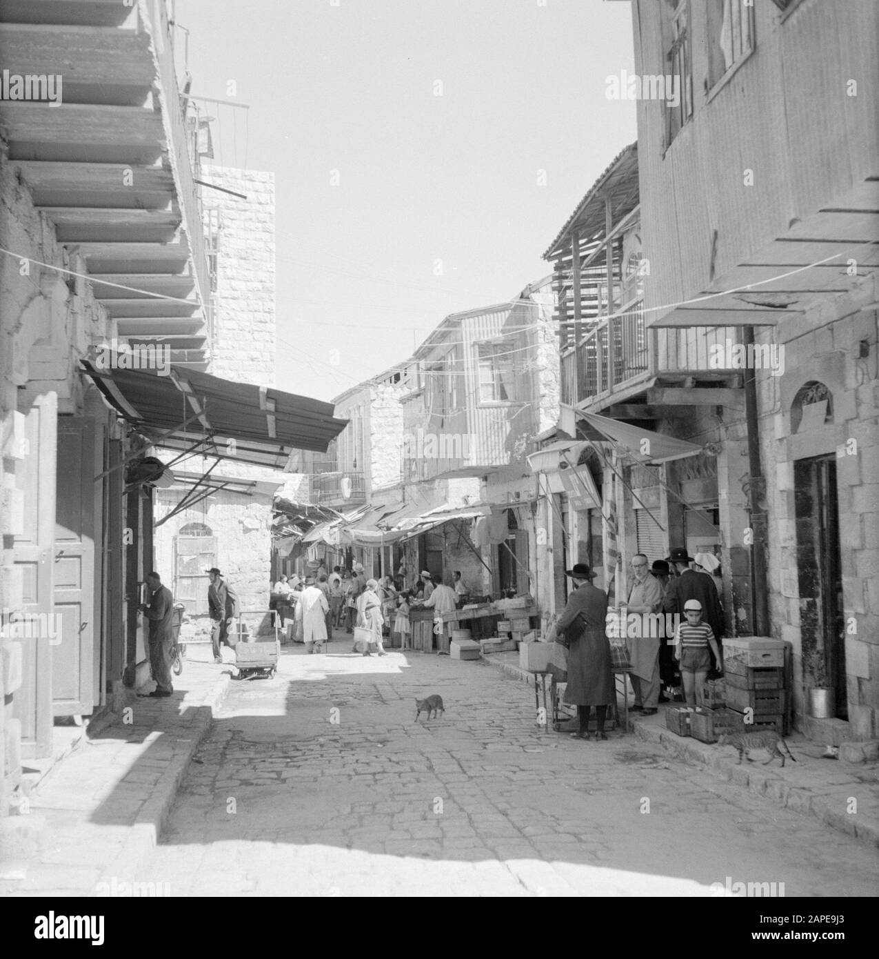 Israel 1964-1965: Jerusalem (Jerusalem), Mea Shearim Beschreibung: Geschäft auf dem Markt, im Vordergrund zwei Straßenkatzen Anmerkung: MEA Shearim, auch Meah Shearim oder hundert Tore genannt, ist einer der ältesten Stadtviertel Jerusalems. Sie wurde ab etwa 1870 von hasidischen Juden erbaut, die bis dahin in der Altstadt lebten. Es war jedoch zu wenig Platz und so kauften sie ein Stück Land nordwestlich der Stadt. Dieses Land, ein Sumpfgebiet, wurde zu Land kultiviert, um ein neues Stadtviertel zu errichten: Meah Shearim. Der Bezirk ist anno 2012 als das extremste orthodoxe jüdische Viertel der Welt bekannt Stockfoto