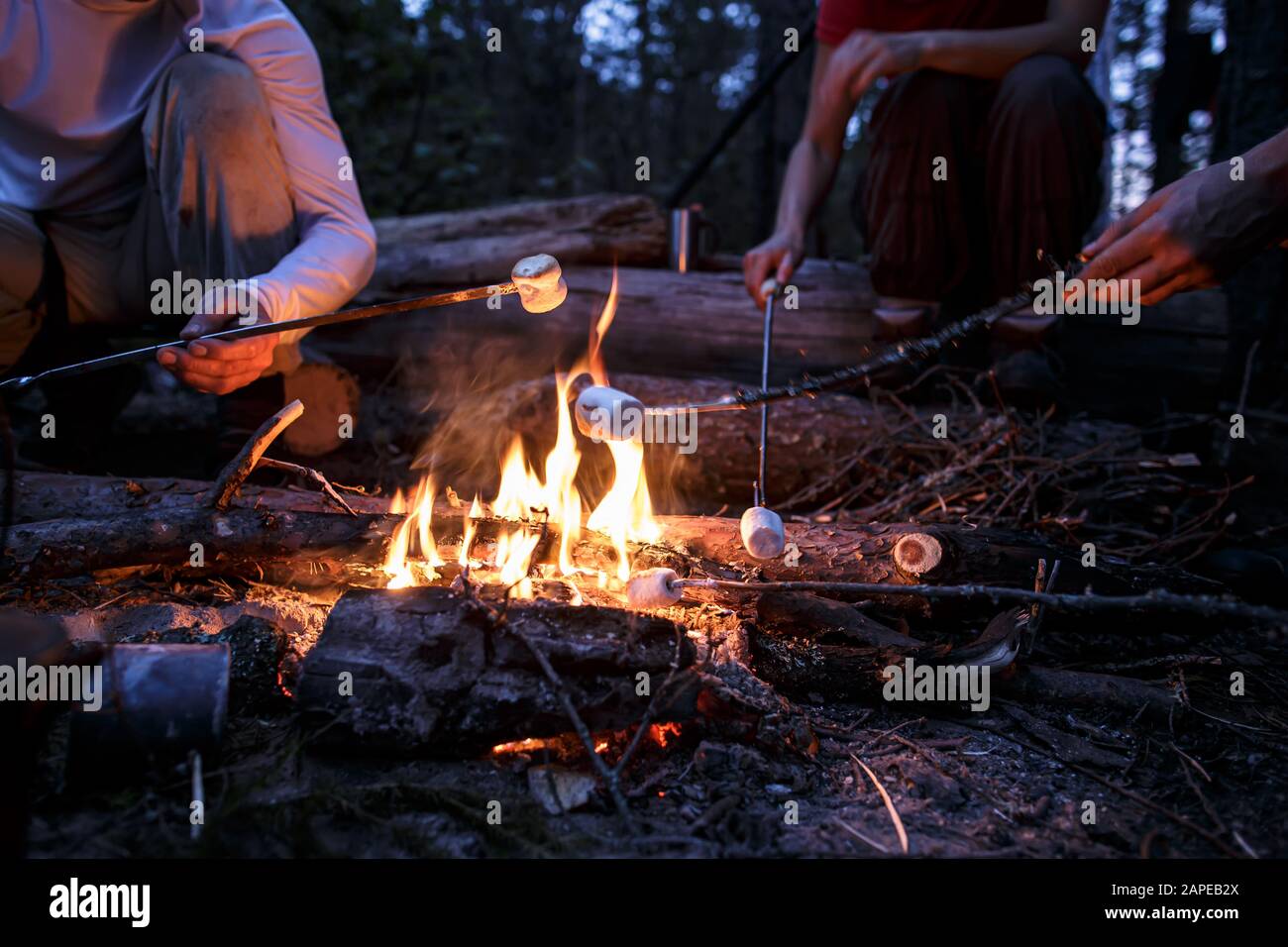 Freunde braten süße Marshmallows über einem Lagerfeuer, an einem Sommerabend, im Wald. Stockfoto