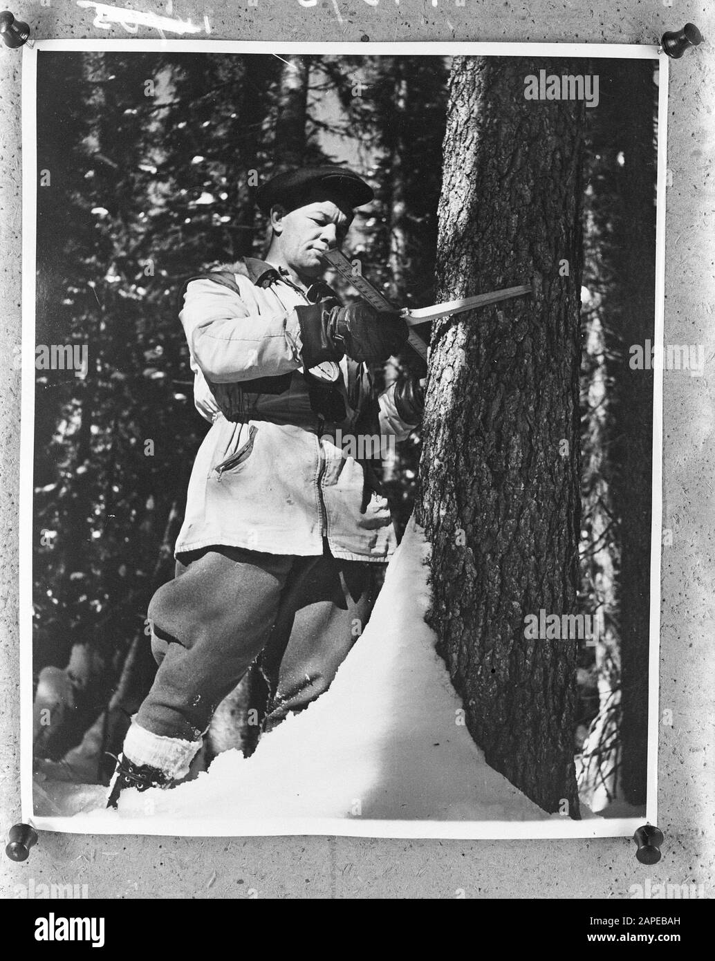Kanadier zurück nach Hause. Der Nationale Film Bourd Datum: 16. Februar 1946 Stockfoto