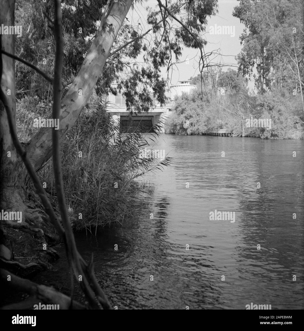 Pflanzliche Ufer des Jordan mit einem Wehr an der Flussmünde im Tiberias-See Datum: 1. Januar 1964 Ort: Jordanien (Israel River), Tiberias-Schlüsselwörter: Bäume, Ufer, Flüsse, Reservoirs Stockfoto