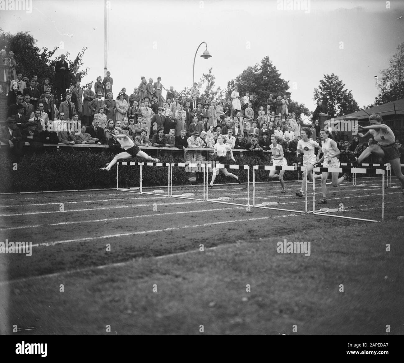 Leichtathletik-Meisterschaften Eindhoven 80 Meter Hürden Damen Datum: 10. Juli 1948 Ort: Eindhoven Schlagwörter: Leichtathletik-Meisterschaften, Hürden, Meter Stockfoto