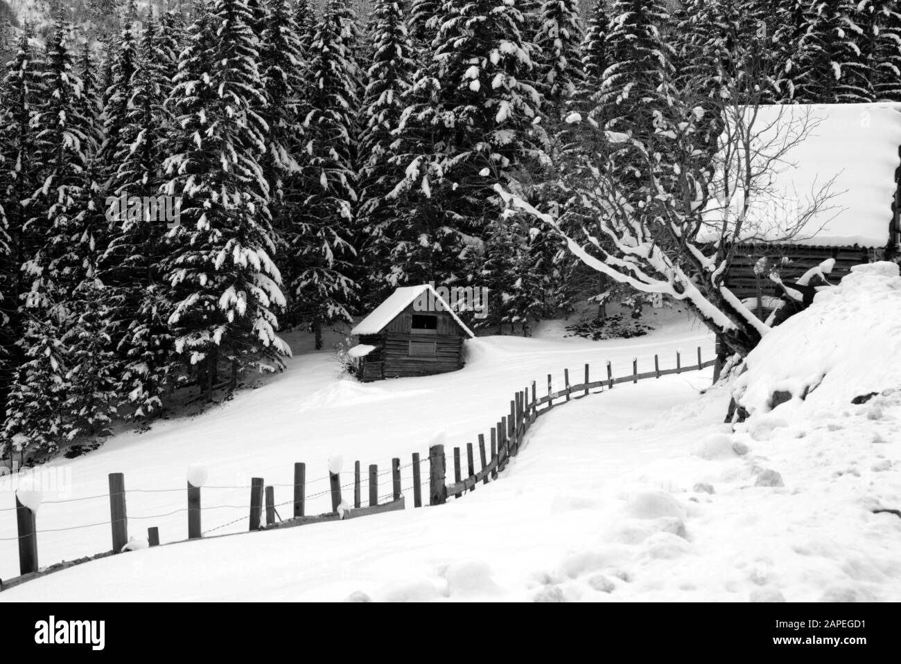 Steiermark, Erinnerungsbild Stockfoto