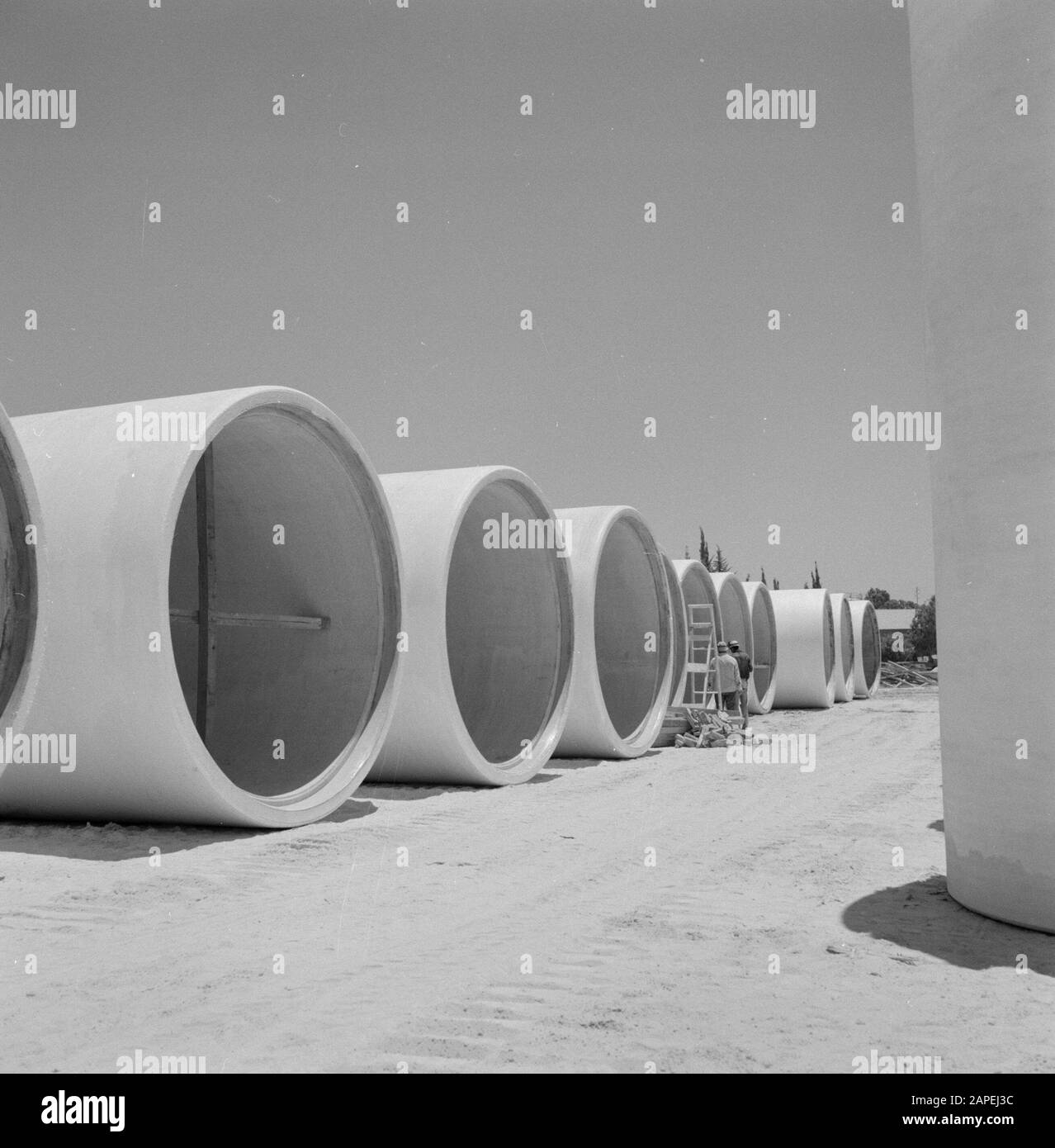 Betonrohre, die auf dem Gelände einer Röhrenfabrik in Aschkelon trocknen. Die Röhrchen sind intern propped, um ein Absacken während des Aushärtungsvorgangs zu verhindern Datum: 1. Januar 1960 Standort: Ashkelon, Israel Schlüsselwörter: Röhrchen, Trocknen, Streben Stockfoto