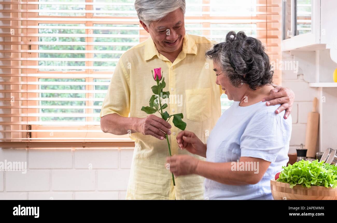 Close up männliche leitende Hand, rosa Rose zu Frau in den Valentinstag. glücklich lächelnd weibliche Senior kuscheln Sie sich mit ihrem Mann Stockfoto