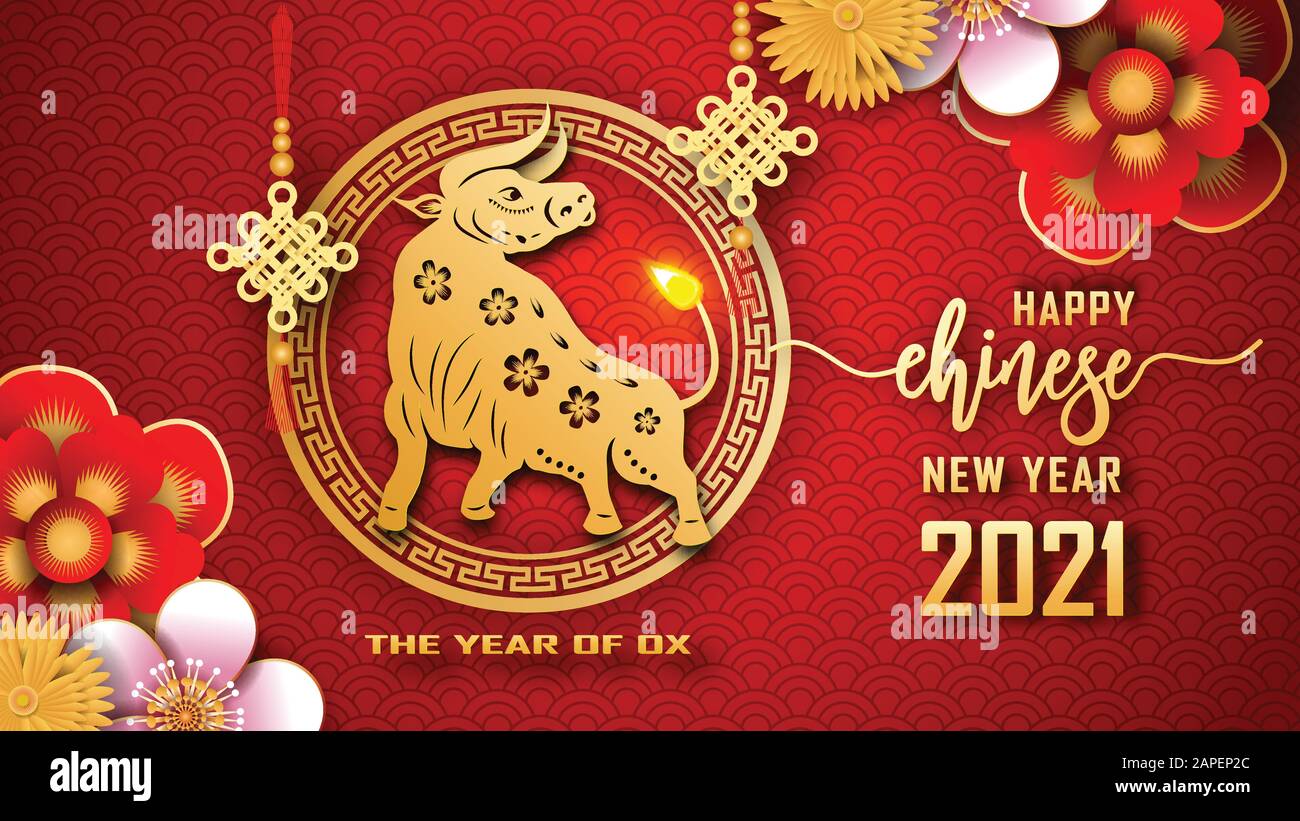 Frohes chinesisches Neujahr 2021. Das Jahr der Ox. Chinesische Neujahrsgruß-Karte Grafikdesign Hintergrund und Hintergrundbild. Rotes und goldenes Papier cu Stock Vektor